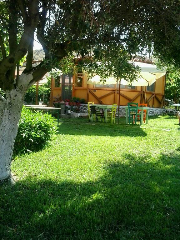 Gregory'S Village Platy Exterior photo